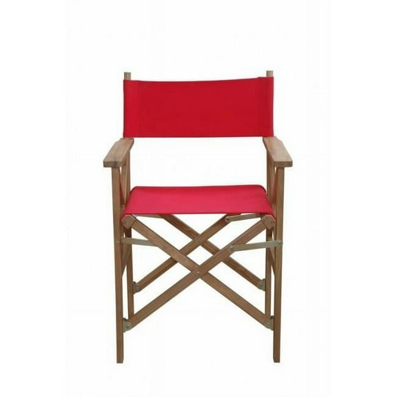 Director Folding Armchair with Canvas