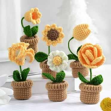 Crochet Kit for Beginners, Scheam 6 Pcs Crochet Potted Flowers Kit , Complete Crochet Kit for Beginners Adults，Yellow