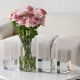 thumbnail image 5 of YardChic Clear Square Vases, Square Acrylic Vase, Flower Vase, Centerpieces Acrylic Cube Plastic Container Bulk Succulent Pots Planters for Plant Wedding Home Office Floral Decor, 7.9×3.9 Inch, 5 of 5