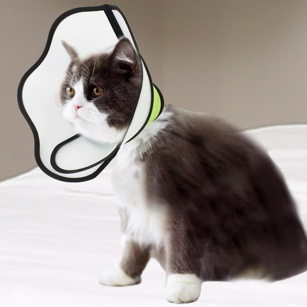 Perro gato cono gato gatito recuperación Collar para manicura gato recorte perros pequeños XL Verde Fluorescente Yinane Cono de gato