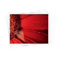 thumbnail image 4 of Fellowes® Super Quick Laminating Pouches, Letter, 5 mil, 100 pack, 4 of 8