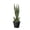 Green, variant on Bingirl Artificial Snake Plant in Pot - Ideal for House, Living Room, Office, and Garden Decoration