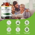 thumbnail image 3 of LIIFE Artemisinin (from Sweet Wormwood) with Bioperine, 100mg — Supports Immune System, Cellular Health, and Enhanced Absorption, Non-GMO, 120 Vegetarian Capsules, 3 of 7