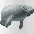 thumbnail image 2 of CafePress - Manatee Stainless Water Bottle 1 - Stainless Steel Water Bottle, Sports Bottle, 1.0L, 2 of 5