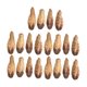 thumbnail image 2 of Nuez Seca Decorativa ANGGREK 5 Bolsas Para Loros, 2 of 7