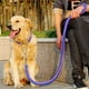 thumbnail image 1 of Collar De Perro Y Set De Correa De Entrenamiento 130, 1 of 8