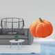 thumbnail image 2 of Cesta De Alambre Tejida Para Almacenar Huevos, Cesta De Hierro Para Frutas Y Verduras, Para Cocina, Baño, Verduras, Calabaza De Halloween, Almohadas Rellenas, Decoración, Cojín Decorativo De, 2 of 8