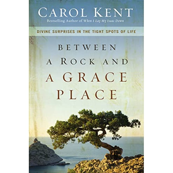 Pre-Owned Between a Rock and a Grace Place: Divine Surprises in the Tight Spots of Life (Paperback) 0310337577 9780310337577