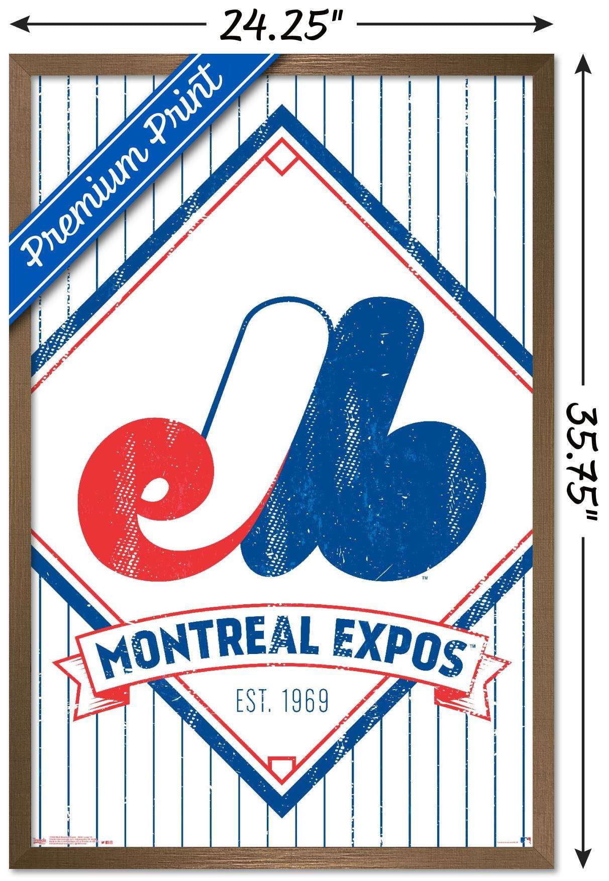 MLB Montreal Expos - Retro Logo 19 Wall Poster, 22.375" x 34", Framed