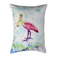 thumbnail image 1 of 11 x 14 in. Betsys Pink Spoonbill Small No-Cord Pillow, 1 of 1