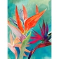 thumbnail image 2 of Parker, Jennifer Paxton 25x32 Gold Ornate Wood Framed with Double Matting Museum Art Print Titled - Vivid Birds of Paradise I, 2 of 4