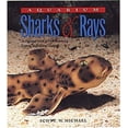 thumbnail image 1 of Pre-Owned Aquarium Sharks & Rays: An Essential Guide to Their Selection, Keeping, and Natural History (Hardcover) 1890087572 9781890087579, 1 of 1