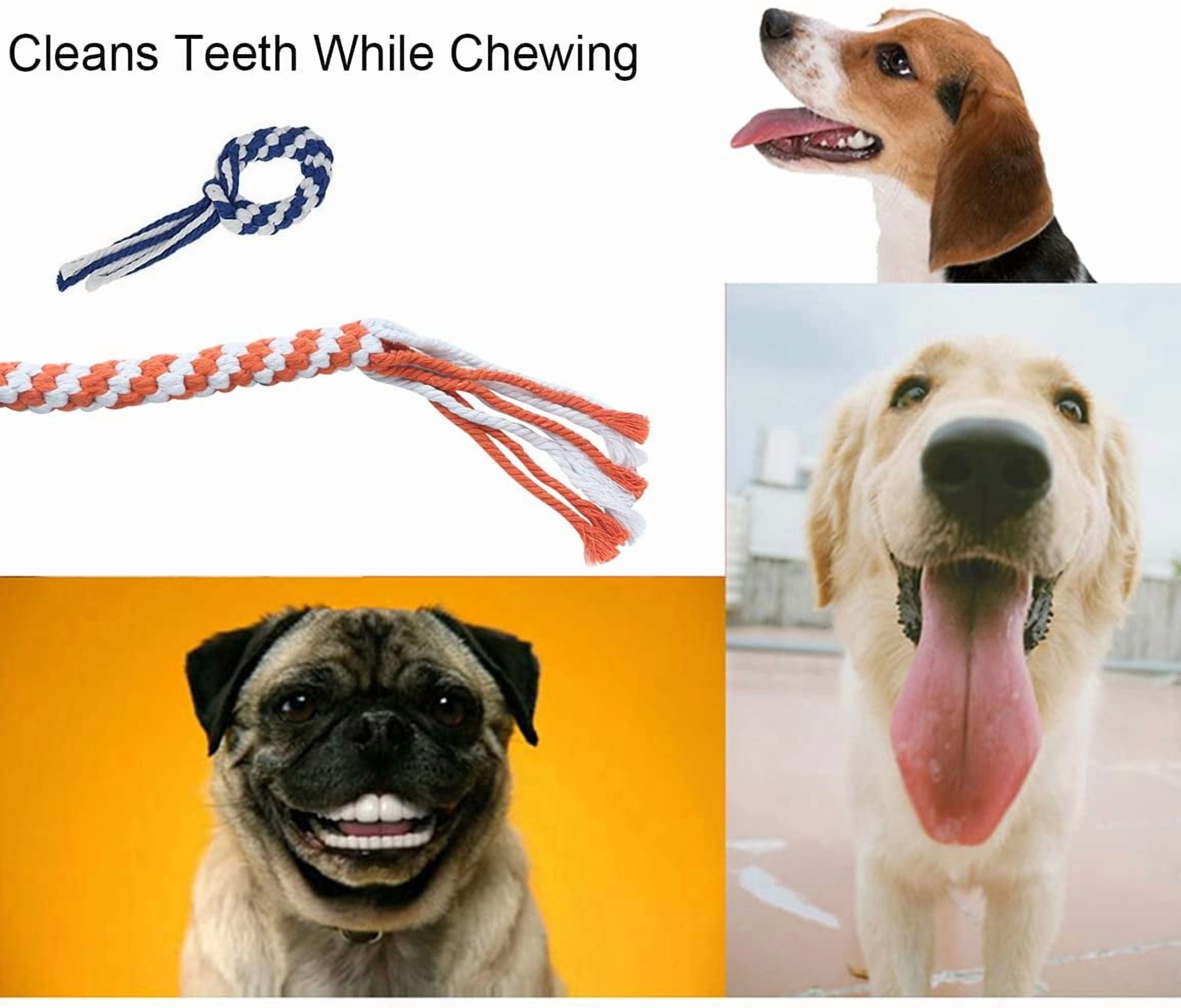 3 Pack Dog Rope Toys Dog Flirt Pole Replacement Toys Interactive Cotton Dog Toys Teething Chew Toys for Boredom Tether Lure Toy for Tug of War Braided Rope Toy to Outdoor Exercising