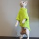 thumbnail image 3 of Suéter de gato Sphynx, camisa suave de dos patas para bebé, suéter de invierno cálido de color sólido de Cornualles, ropa para gatitos y mascotas, 3 of 5