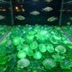 thumbnail image 5 of Set decorativo de estrellas de mar y conchas marinas artificiales para acuario con piedras luminiscentes, para tanques de agua dulce y salada, incluye 100 piezas en varios tamaños y colores., 5 of 6