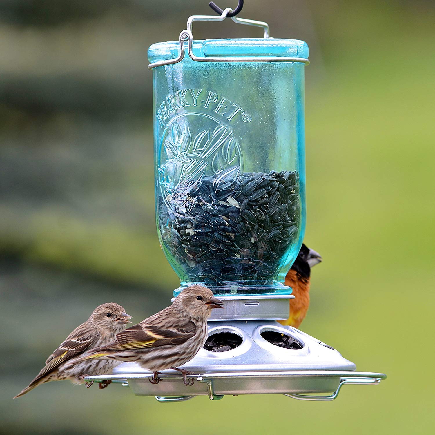 Perky-Pet Mason Jar Wild Bird Seed Feeder