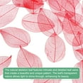 thumbnail image 2 of 100-Pack Skeleton Leaves, Natural Rubber Tree Dried Pressed Leaves Vein [4-6cm, Red], 2 of 2