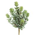 thumbnail image 1 of Sedum Pick artificial verde y rojo Vickerman Everyday 8, 1 of 9