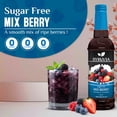 thumbnail image 2 of Syruvia Mix Berry Sugar Free Cocktails Syrup 25.4 Fl Oz With Pump, 2 of 7