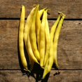 thumbnail image 2 of TomorrowSeeds - Golden Wax Yellow Wax Bean Seeds - 30+ Count - For 2025 Planting Heirloom Beans, 2 of 9