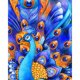 thumbnail image 1 of Pintura de diamante (DE6736) 5D DIY Peacock Square Rhinestone Dibujo Artesanía 50x70cm FLhrweasw Nuevo, 1 of 1