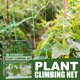 thumbnail image 3 of Enrejado de jardín JAMW para plantas trepadoras Sencillez 2,95 x 8,85 pies, 3 of 5