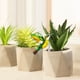 thumbnail image 3 of Acrylic Potted Insert Planter Decoration, Transparent Planter Insert for Decoration, Clear Acrylic Insert for Flowerpots, Indoor Home Planter Insert Tray, 3 of 4