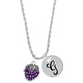 thumbnail image 1 of Delight Jewelry Silvertone Purple Grapes Silvertone Script Initial Disc - G - Charm Necklace, 20"+3", 1 of 4