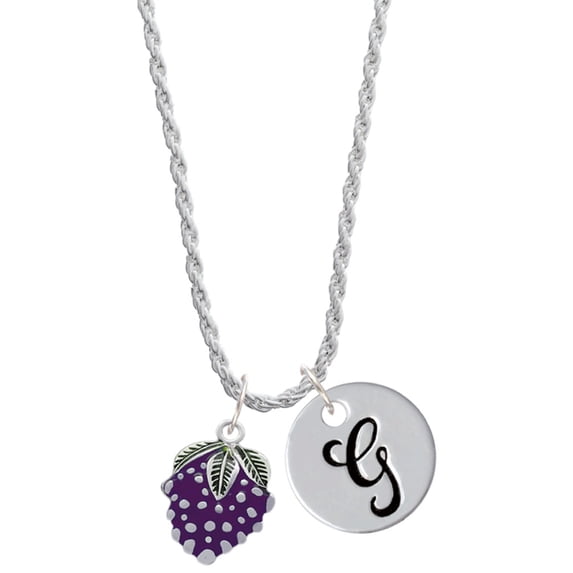 Delight Jewelry Silvertone Purple Grapes Silvertone Script Initial Disc - G - Charm Necklace, 20"+3"