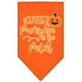 thumbnail image 5 of Halloween Pet and Dog Bandana Screen Printed, "Cutest Pumpkin In The Patch", 5 of 10