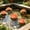 Pink, variant on Floating Foam Lotus Flowers Artificial Water Lilies Leaves for Pond Pool Garden Decor,Red