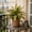 green-4B, variant on MMJ Artificial Plants Faux Greenery Bush 23.62x23.62x22.83in Plastic Realistic Wall Hanging Shelf Home Office Indoor Outdoor Decor