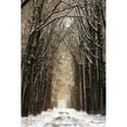 thumbnail image 3 of Podt, Martin 13x18 Black Modern Framed Museum Art Print Titled - Winter, 3 of 5