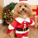 thumbnail image 1 of Keep Your Pet Warm and Festive This Winter with a Santa Claus Suit!, 1 of 5