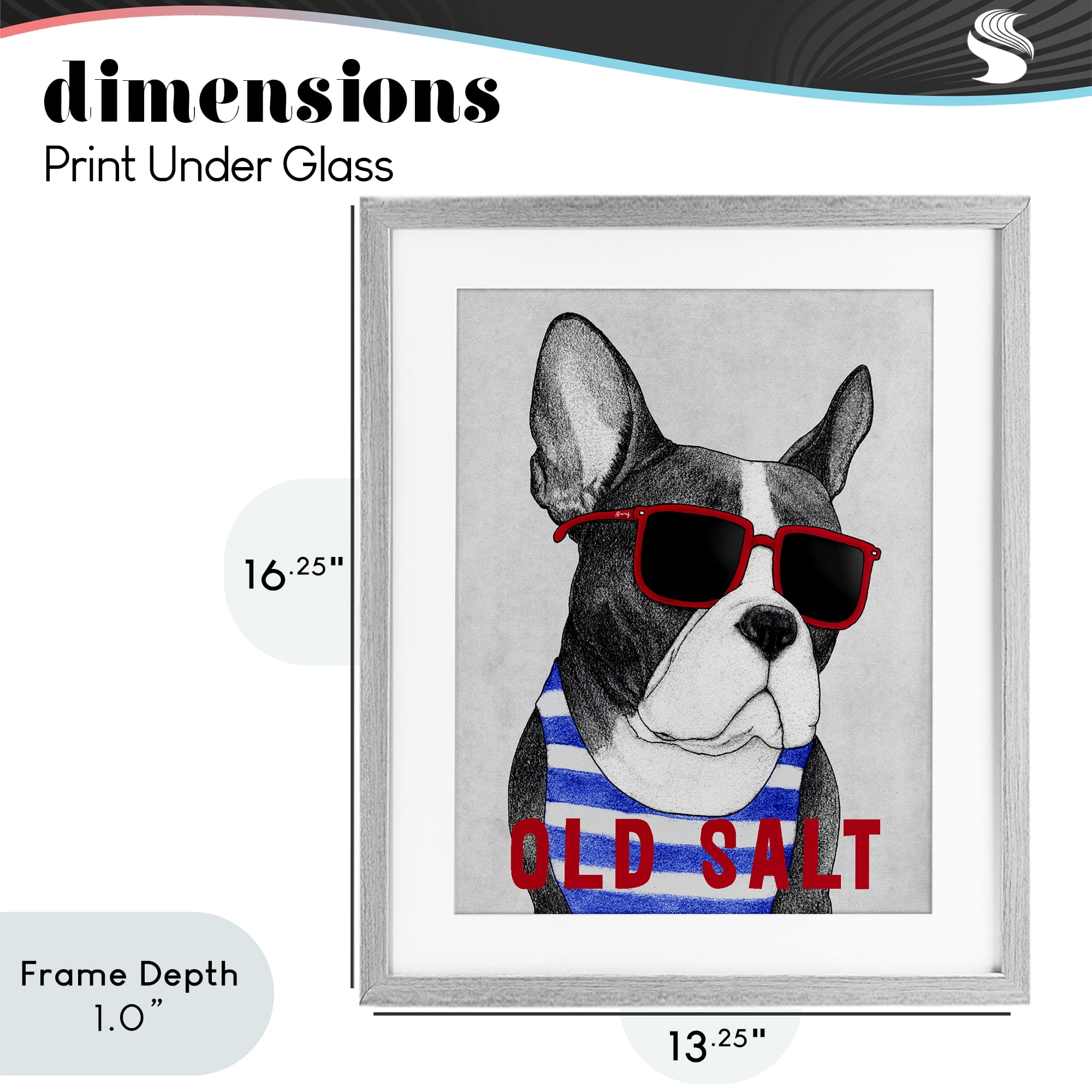 Stupell Industries Old Salt Summer Frenchie Gray Framed Print Under Glass, design by Barruff