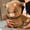 Brown Cow, variant on Guvpev Running Panda Plushies, 15" Running Stress Relief Stuffed Animal, Interactive Shaking Stuffed Toys with Moving Legs, Soft & Cuddly Farm Animal Doll, Unique Birthday Gifts for Kids & Adults