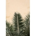 thumbnail image 2 of Artographie Studio 11x14 White Modern Wood Framed Museum Art Print Titled - Palm leaves and wall 1, 2 of 4