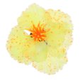 thumbnail image 1 of unbranded Adorno De Artificial Para Planta En De Peces, 1 of 6