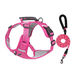 thumbnail image 1 of Pechera Arnés  Lab.G De Seguridad Para Perro FUCSIA talla S, 1 of 4