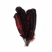 Zucker 10-12" Tie Dye Turkey Feather, Red and Black, 6 piece package