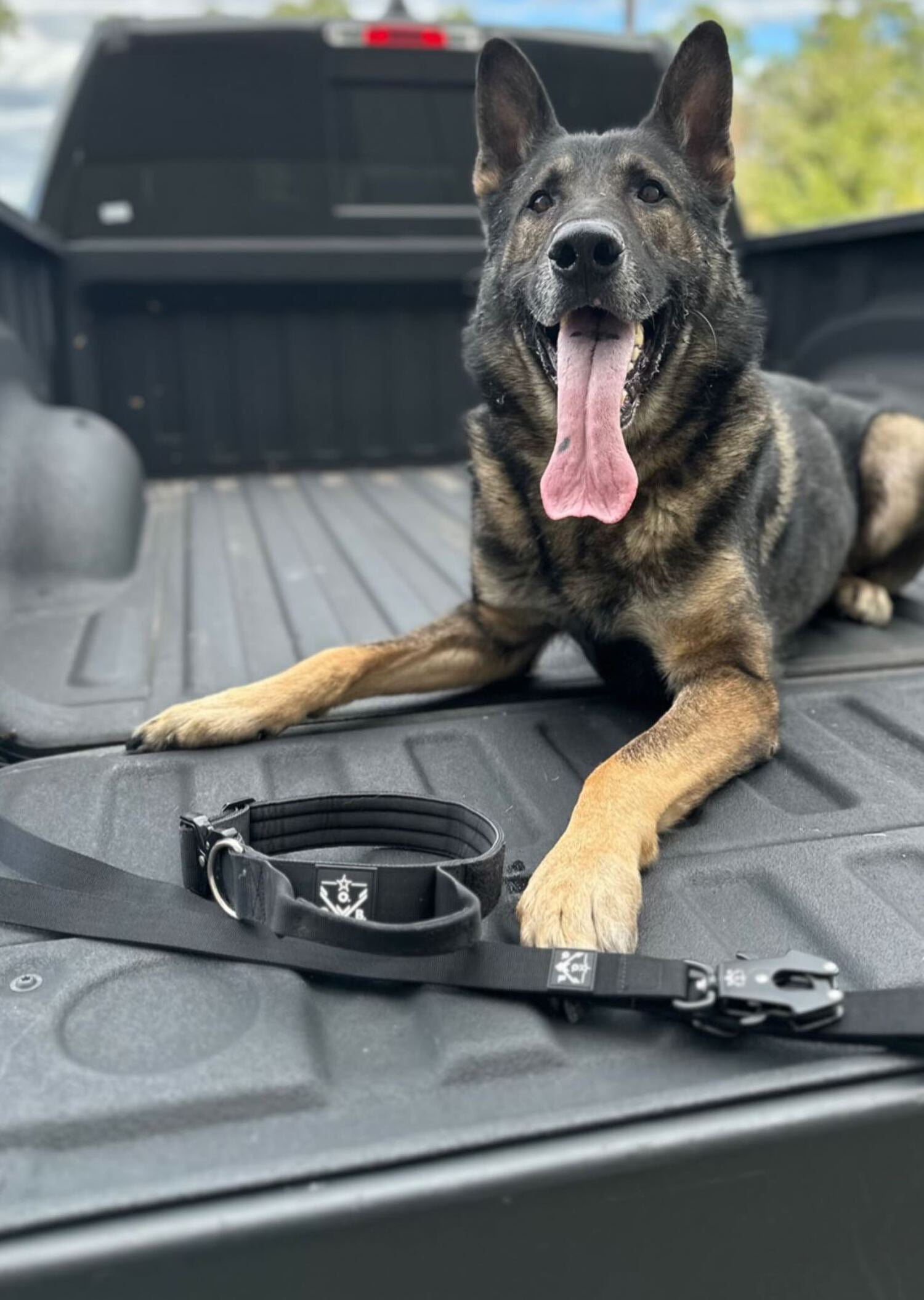 Operation Good Boy Dog Collar with Quick Release Buckle and Handle, for Large and Medium Dogs, Black