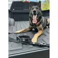 thumbnail image 4 of Operation Good Boy Tactical Adjustable Dog Collar with Quick Release Buckle, Green, 4 of 5