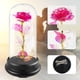 thumbnail image 2 of Rosa de cúpula con luces LED, regalo de rosa de cristal eterna, rosa encantada para siempre, regalo de cumpleaños para aniversario, día de San Valentín, día de la madre, boda, pequeño, 2 of 5