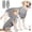 Gray, variant on Amztom Dog Surgery Spay Recovery Suit, Dog Onesie for Surgery Female, Substitute E-Collar & Cone, X-Small to XXXL Sizes,Pink