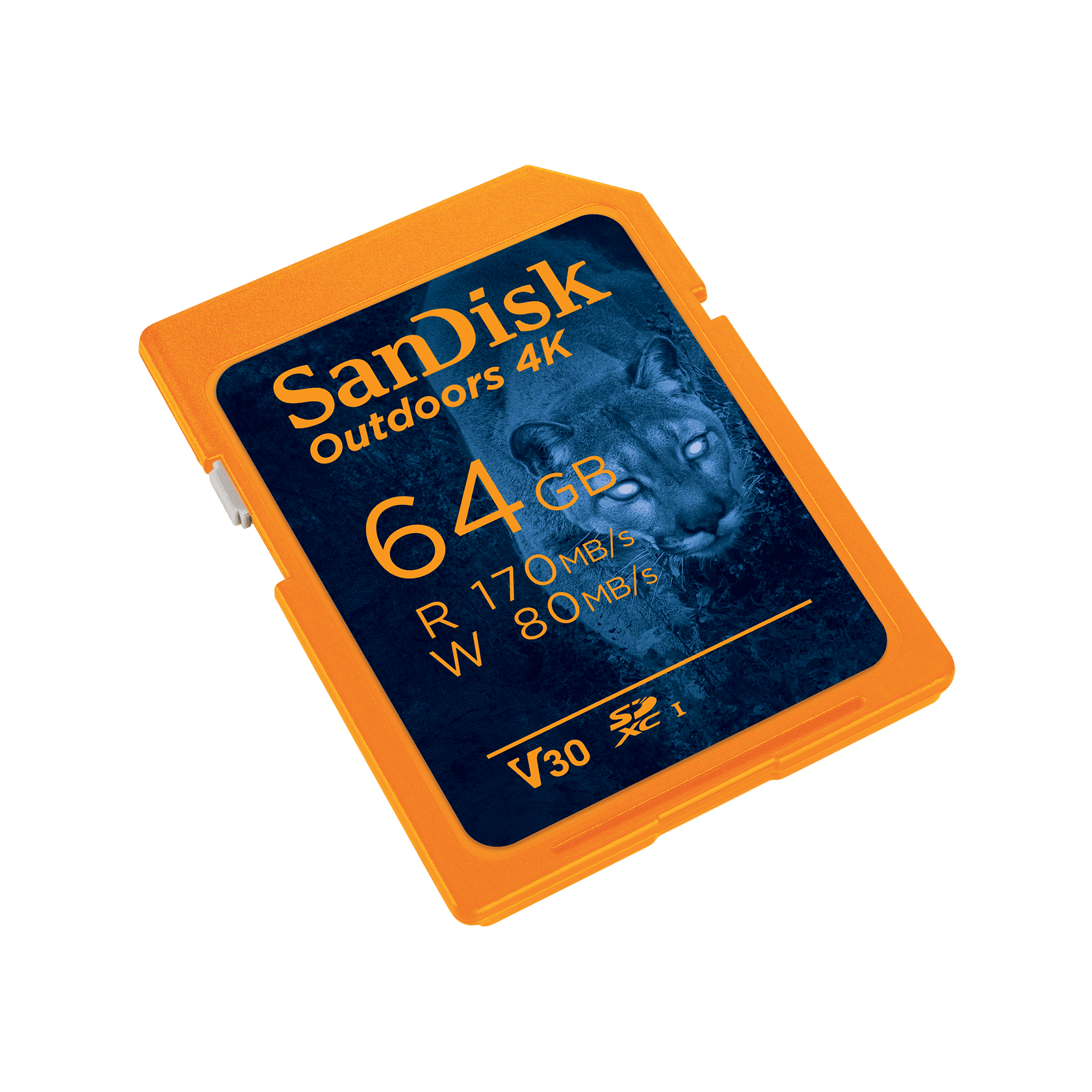 SanDisk 64GB Outdoors 4K SDXC UHS-I Memory Card (Up to 170 MB/s), 2 Pack - SDSDXW2-064G-GN6V2