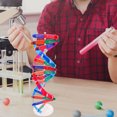 thumbnail image 4 of TEHAUX High Level Chemistry Molecular Model DNA Double Helix Kit for Home Education Multi ABS 3 Pcs, 4 of 7