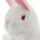 thumbnail image 4 of BRIGHTFUFU Juguete de peluche de conejito de cuerda para niños, conejo saltador suave y Adorable, relleno de cesta de Pascua y juguete interactivo, 4 of 7