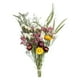 thumbnail image 5 of 3 ramo de flores secas es, planta de margaritas rosas es, arreglo para, 5 of 7