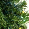 thumbnail image 3 of Northlight Pre-Lit Medium Mixed Classic Pine Artificial Christmas Tree - 2' - Multicolor LED Lights, 3 of 4