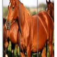 thumbnail image 2 of Benjara 3 Panel Foldable Wooden Screen with Horse Print, Brown, 2 of 3